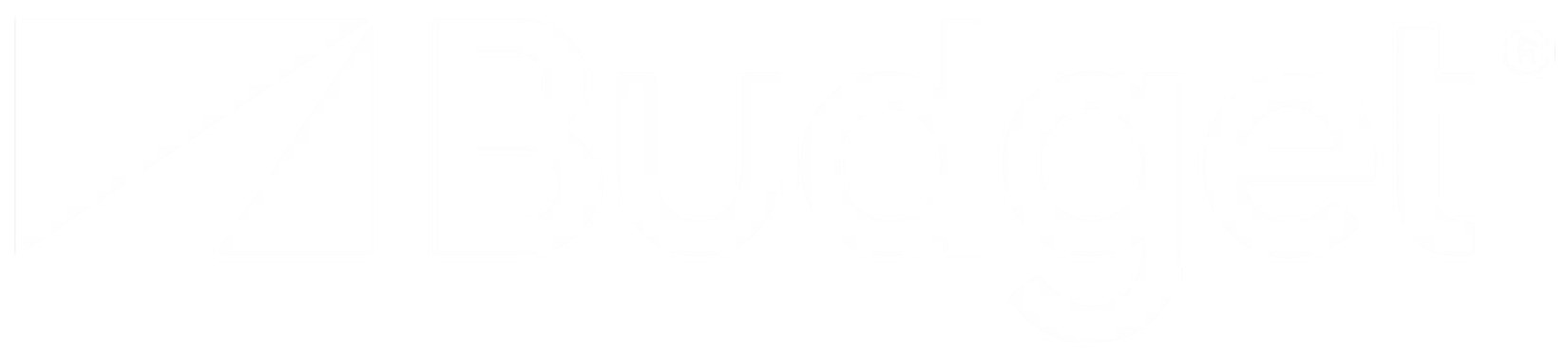 Logo de nuestro cliente: BUDGET